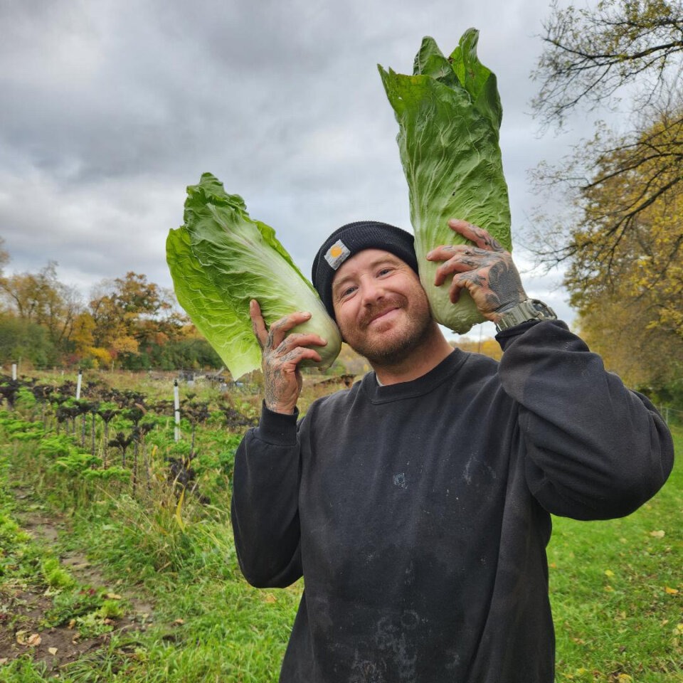 Winterspring farm owner Caleb holding lettuce in the field
