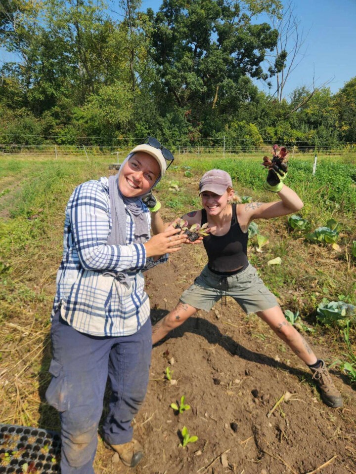 Winterspring farm workers harvesting crops 