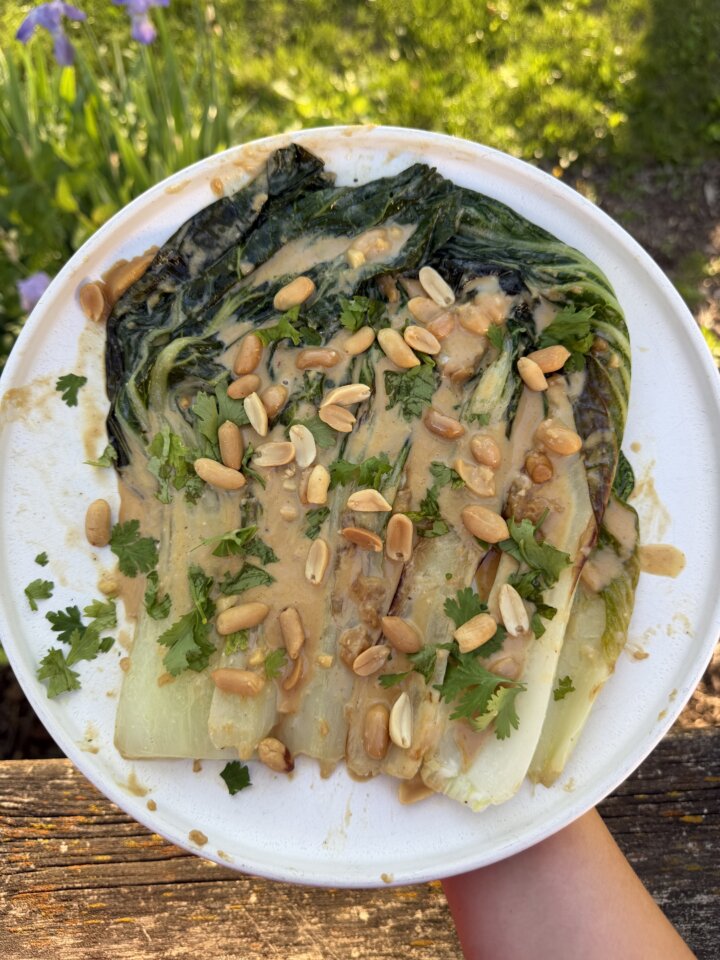 Seared miso peanut Bok Choy on plate outside.